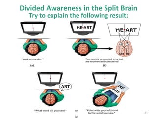 51
Divided Awareness in the Split Brain
Try to explain the following result:
 