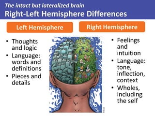 • Thoughts
and logic
• Language:
words and
definitions
• Pieces and
details
• Feelings
and
intuition
• Language:
tone,
inflection,
context
• Wholes,
including
the self
The intact but lateralized brain
Right-Left Hemisphere Differences
Left Hemisphere Right Hemisphere
 