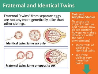 Twin and
Adoption Studies
To assess the
impact of nature
and nurture, how
do we examine
how genes make a
difference within
the same
environment?
 study traits of
siblings vs.
identical twins
 see if the
siblings vary
more than
twins
Fraternal and Identical Twins
Fraternal “twins” from separate eggs
are not any more genetically alike than
other siblings.
Identical twin: Same sex only
Fraternal twin: Same or opposite sex
 