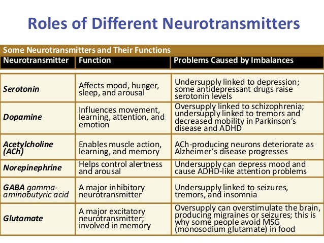 neurotransmitter neuron and hormones function neurotransmitter neuron and hormones function