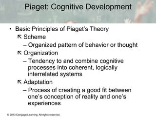 basic principles of piaget's theory
