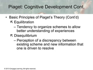 basic principles of piaget's theory