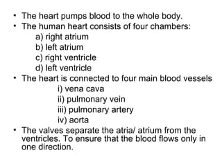 • The heart pumps blood to the whole body.
• The human heart consists of four chambers:
a) right atrium
b) left atrium
c) right ventricle
d) left ventricle
• The heart is connected to four main blood vessels
i) vena cava
ii) pulmonary vein
iii) pulmonary artery
iv) aorta
• The valves separate the atria/ atrium from the
ventricles. To ensure that the blood flows only in
one direction.
 