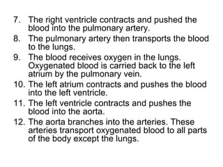 7. The right ventricle contracts and pushed the
blood into the pulmonary artery.
8. The pulmonary artery then transports the blood
to the lungs.
9. The blood receives oxygen in the lungs.
Oxygenated blood is carried back to the left
atrium by the pulmonary vein.
10. The left atrium contracts and pushes the blood
into the left ventricle.
11. The left ventricle contracts and pushes the
blood into the aorta.
12. The aorta branches into the arteries. These
arteries transport oxygenated blood to all parts
of the body except the lungs.
 