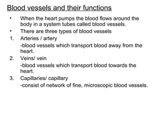 Blood vessels and their functions
• When the heart pumps the blood flows around the
body in a system tubes called blood vessels.
• There are three types of blood vessels
1. Arteries / artery
-blood vessels which transport blood away from the
heart.
2. Veins/ vein
-blood vessels which transport blood towards the
heart.
3. Capillaries/ capillary
-consist of network of fine, microscopic blood vessels.
 