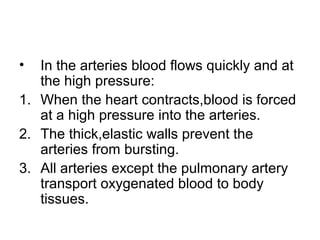 • In the arteries blood flows quickly and at
the high pressure:
1. When the heart contracts,blood is forced
at a high pressure into the arteries.
2. The thick,elastic walls prevent the
arteries from bursting.
3. All arteries except the pulmonary artery
transport oxygenated blood to body
tissues.
 