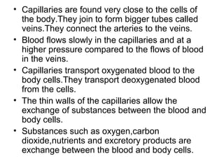 • Capillaries are found very close to the cells of
the body.They join to form bigger tubes called
veins.They connect the arteries to the veins.
• Blood flows slowly in the capillaries and at a
higher pressure compared to the flows of blood
in the veins.
• Capillaries transport oxygenated blood to the
body cells.They transport deoxygenated blood
from the cells.
• The thin walls of the capillaries allow the
exchange of substances between the blood and
body cells.
• Substances such as oxygen,carbon
dioxide,nutrients and excretory products are
exchange between the blood and body cells.
 