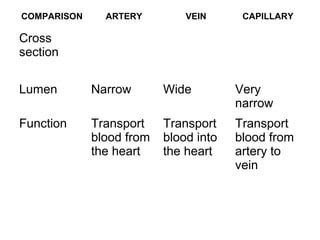 COMPARISON ARTERY VEIN CAPILLARY
Cross
section
Lumen Narrow Wide Very
narrow
Function Transport
blood from
the heart
Transport
blood into
the heart
Transport
blood from
artery to
vein
 