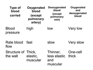 Type of
blood
carried
Oxygenated
blood
(except
pulmonary
artery)
Deoxygenated
blood
(except
pulmonary
vein)
Oxygenated
and
deoxygenated
blood
Blood
pressure
high low Very low
Rate blood
flow
fast slow Very slow
Structure of
the wall
Thick,
elastic,
muscular
Thinner,
less elastic
and
muscular
One-cell
thick
 