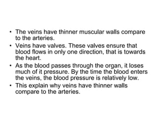 • The veins have thinner muscular walls compare
to the arteries.
• Veins have valves. These valves ensure that
blood flows in only one direction, that is towards
the heart.
• As the blood passes through the organ, it loses
much of it pressure. By the time the blood enters
the veins, the blood pressure is relatively low.
• This explain why veins have thinner walls
compare to the arteries.
 