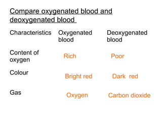 Compare oxygenated blood and
deoxygenated blood
Characteristics Oxygenated
blood
Deoxygenated
blood
Content of
oxygen
Colour
Gas
Rich Poor
Bright red Dark red
Oxygen Carbon dioxide
 