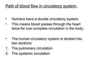 Path of blood flow in circulatory system.
• Humans have a double circulatory system.
• This means blood passes through the heart
twice for one complete circulation in the body.
• The human circulatory system is divided into
two sections:
1. The pulmonary circulation
2. The systemic circulation
 