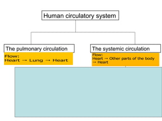 Human circulatory system
The pulmonary circulation The systemic circulation
Arterial
• Oxygenated blood from the
heart to other part of the body
venous
• deoxygenated blood from the
heart to other part of the body
 