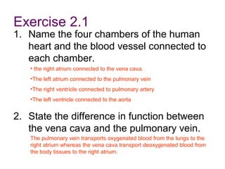 Exercise 2.1
1. Name the four chambers of the human
heart and the blood vessel connected to
each chamber.
2. State the difference in function between
the vena cava and the pulmonary vein.
• the right atrium connected to the vena cava.
•The left atrium connected to the pulmonary vein
•The right ventricle connected to pulmonary artery
•The left ventricle connected to the aorta
The pulmonary vein transports oxygenated blood from the lungs to the
right atrium whereas the vena cava transport deoxygenated blood from
the body tissues to the right atrium.
 