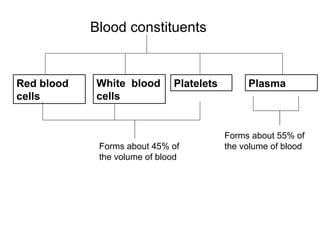 Blood constituents
Red blood
cells
White blood
cells
PlasmaPlatelets
Forms about 55% of
the volume of bloodForms about 45% of
the volume of blood
 