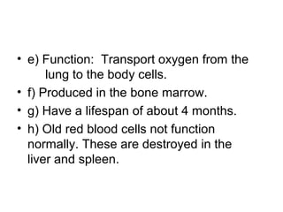• e) Function: Transport oxygen from the
lung to the body cells.
• f) Produced in the bone marrow.
• g) Have a lifespan of about 4 months.
• h) Old red blood cells not function
normally. These are destroyed in the
liver and spleen.
 