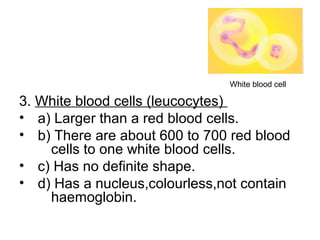 3. White blood cells (leucocytes)
• a) Larger than a red blood cells.
• b) There are about 600 to 700 red blood
cells to one white blood cells.
• c) Has no definite shape.
• d) Has a nucleus,colourless,not contain
haemoglobin.
White blood cell
 