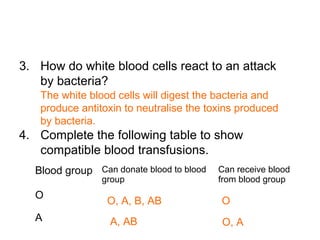 3. How do white blood cells react to an attack
by bacteria?
4. Complete the following table to show
compatible blood transfusions.
The white blood cells will digest the bacteria and
produce antitoxin to neutralise the toxins produced
by bacteria.
Blood group Can donate blood to blood
group
Can receive blood
from blood group
O
A
O, A, B, AB O
A, AB O, A
 