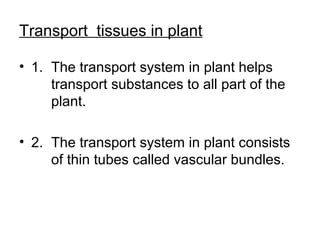 Transport tissues in plant
• 1. The transport system in plant helps
transport substances to all part of the
plant.
• 2. The transport system in plant consists
of thin tubes called vascular bundles.
 
