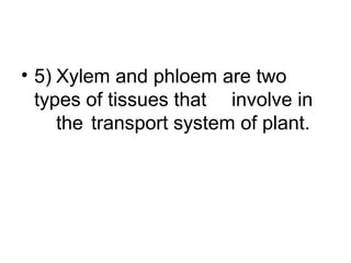 • 5) Xylem and phloem are two
types of tissues that involve in
the transport system of plant.
 