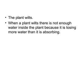 • The plant wilts.
• When a plant wilts there is not enough
water inside the plant because it is losing
more water than it is absorbing.
 