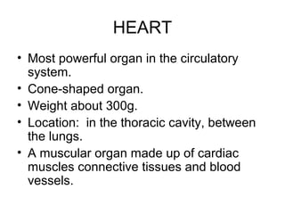 HEART
• Most powerful organ in the circulatory
system.
• Cone-shaped organ.
• Weight about 300g.
• Location: in the thoracic cavity, between
the lungs.
• A muscular organ made up of cardiac
muscles connective tissues and blood
vessels.
 