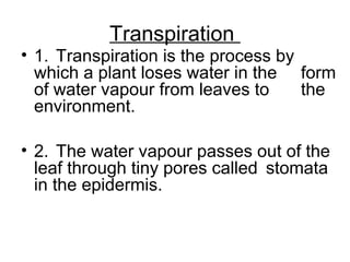 Transpiration
• 1. Transpiration is the process by
which a plant loses water in the form
of water vapour from leaves to the
environment.
• 2. The water vapour passes out of the
leaf through tiny pores called stomata
in the epidermis.
 