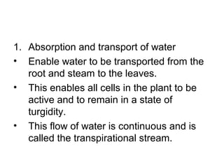 1. Absorption and transport of water
• Enable water to be transported from the
root and steam to the leaves.
• This enables all cells in the plant to be
active and to remain in a state of
turgidity.
• This flow of water is continuous and is
called the transpirational stream.
 