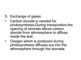 5. Exchange of gases
• Carbon dioxide is needed for
photosynthesis.During transpiration,the
opening of stomata allows carbon
dioxide from athmosphere to diffuse
inside the leaf.
• Oxygen which is produced during
photosynthesis diffuses out into the
athmosphere through the stomata.
 