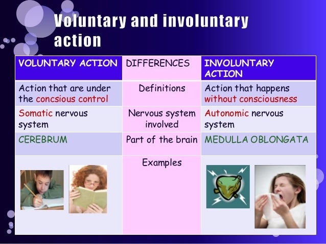 Voluntary And Involuntary Actions Nicomachean Ethics Lecture 4