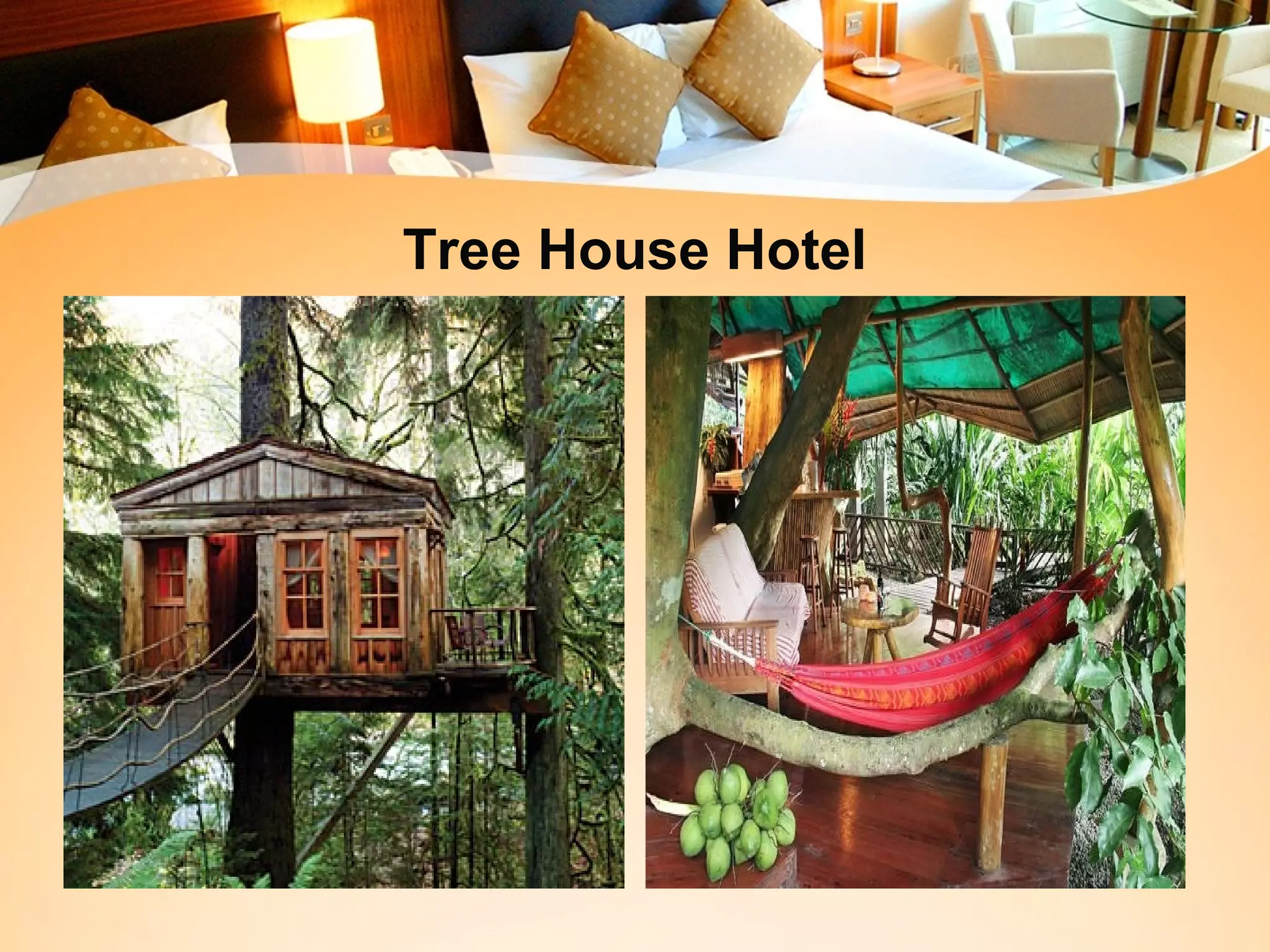 Tree House Hotel 
 
