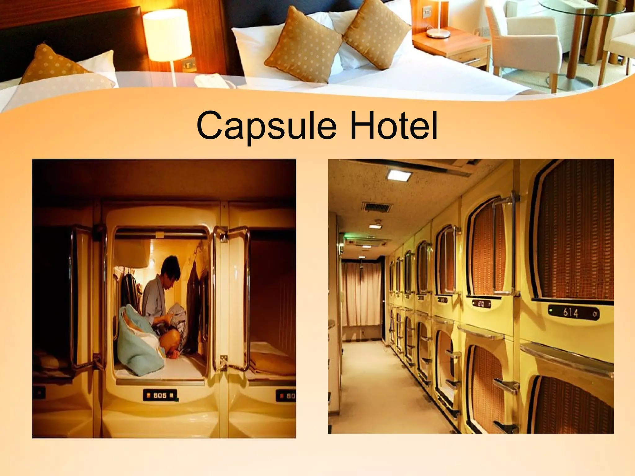 Capsule Hotel 
 