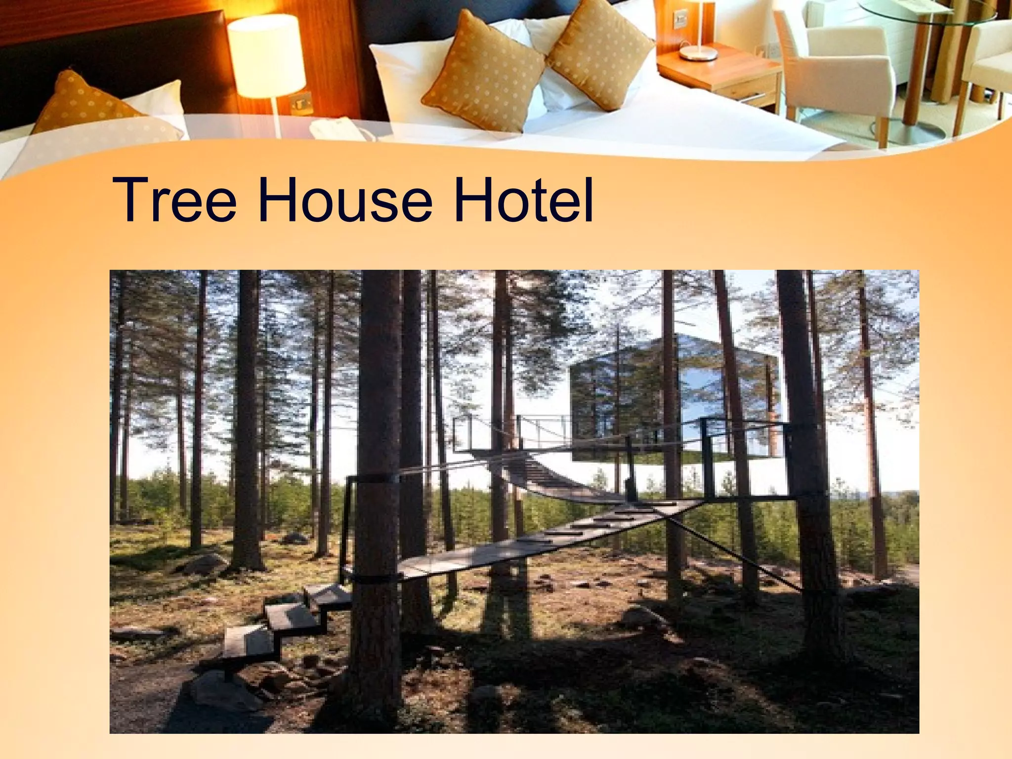 Tree House Hotel 
 
