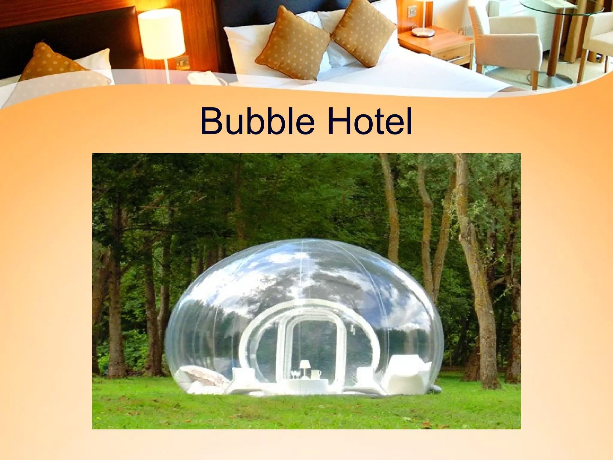 Bubble Hotel 
 