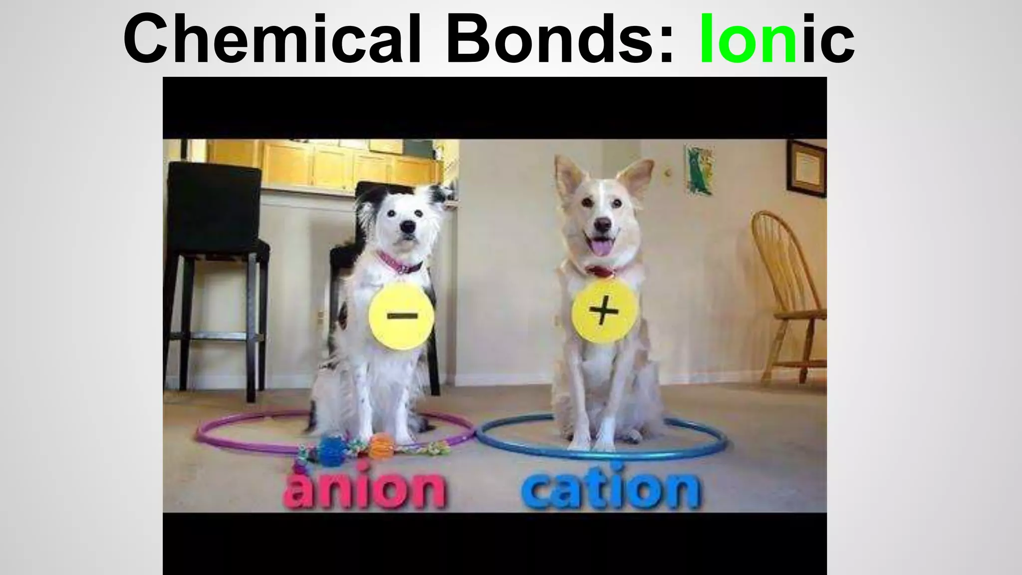 Chemical Bonds: Ionic 
 