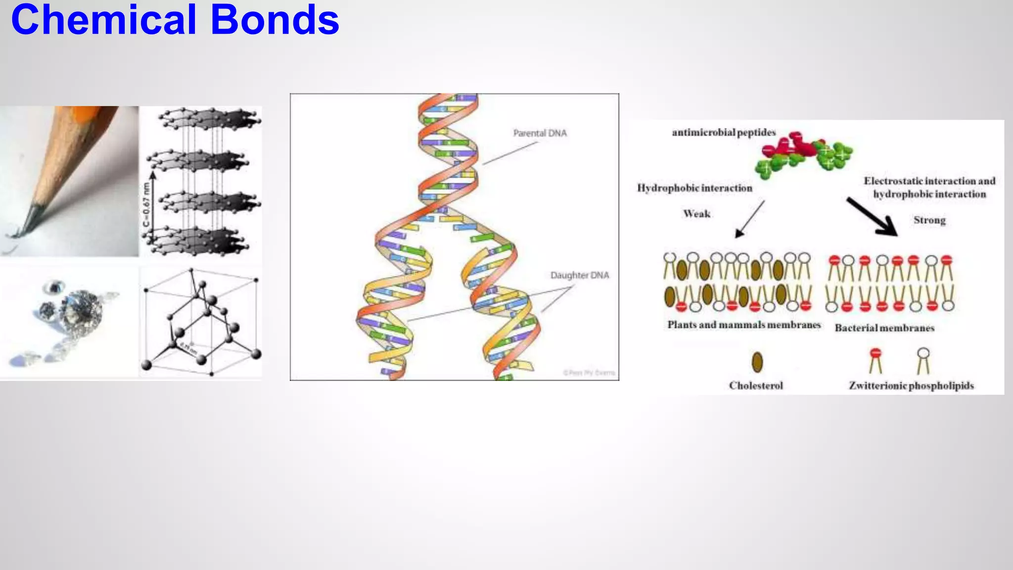 Chemical Bonds 
 