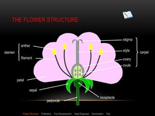 reproduction in flowering plants | PPTX