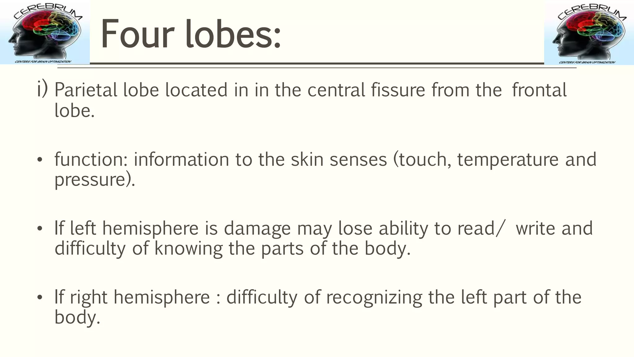 i) Parietal lobe located in in the central fissure from the frontal
lobe.
• function: information to the skin senses (touch, temperature and
pressure).
• If left hemisphere is damage may lose ability to read/ write and
difficulty of knowing the parts of the body.
• If right hemisphere : difficulty of recognizing the left part of the
body.
Four lobes:
 
