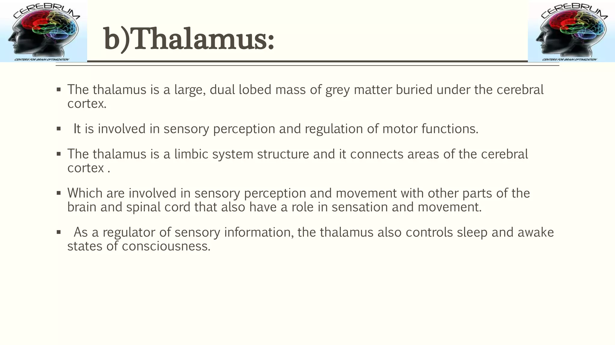 b)Thalamus:
 The thalamus is a large, dual lobed mass of grey matter buried under the cerebral
cortex.
 It is involved in sensory perception and regulation of motor functions.
 The thalamus is a limbic system structure and it connects areas of the cerebral
cortex .
 Which are involved in sensory perception and movement with other parts of the
brain and spinal cord that also have a role in sensation and movement.
 As a regulator of sensory information, the thalamus also controls sleep and awake
states of consciousness.
 