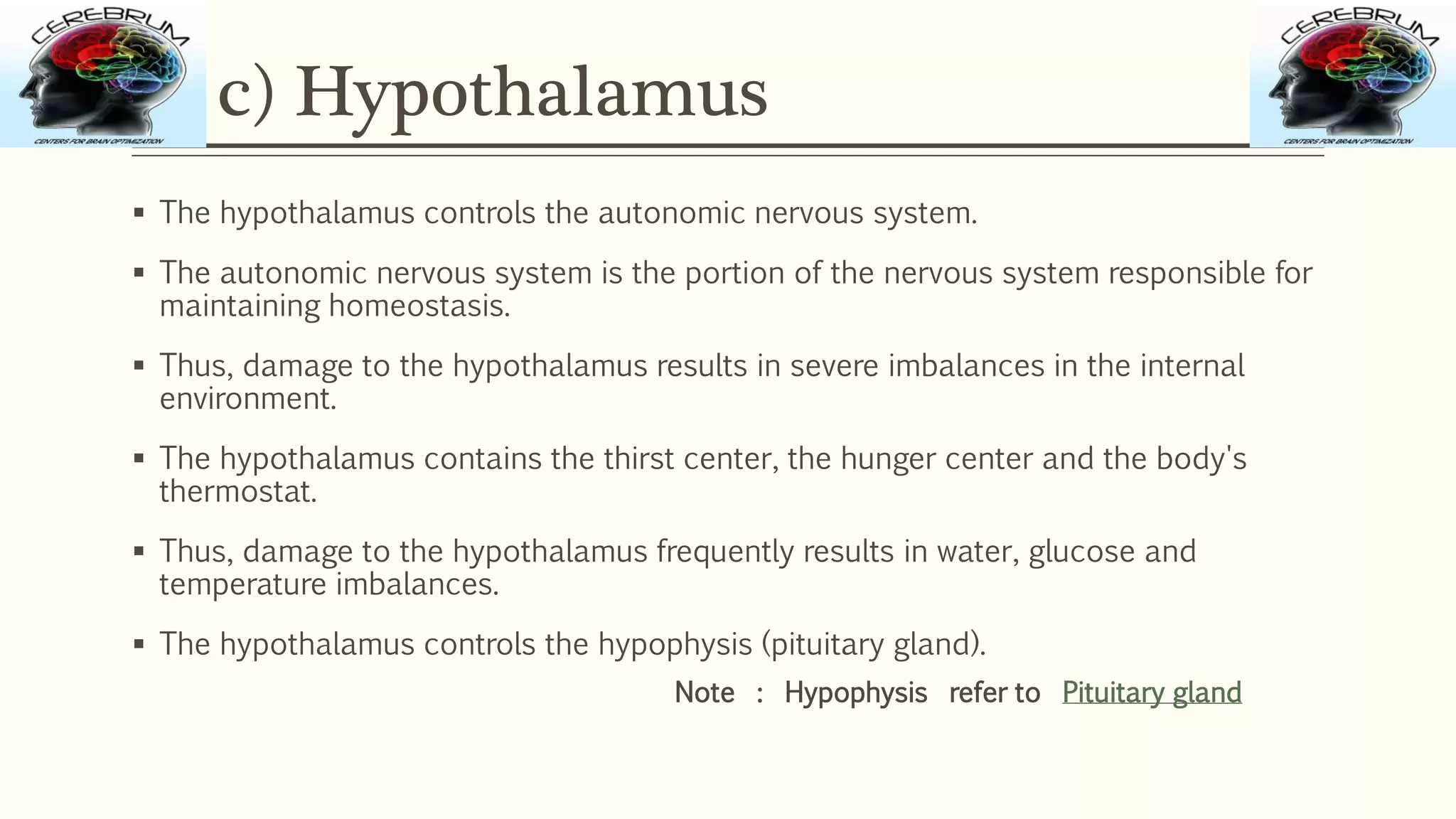 c) Hypothalamus
 The hypothalamus controls the autonomic nervous system.
 The autonomic nervous system is the portion of the nervous system responsible for
maintaining homeostasis.
 Thus, damage to the hypothalamus results in severe imbalances in the internal
environment.
 The hypothalamus contains the thirst center, the hunger center and the body's
thermostat.
 Thus, damage to the hypothalamus frequently results in water, glucose and
temperature imbalances.
 The hypothalamus controls the hypophysis (pituitary gland).
Note : Hypophysis refer to Pituitary gland
 