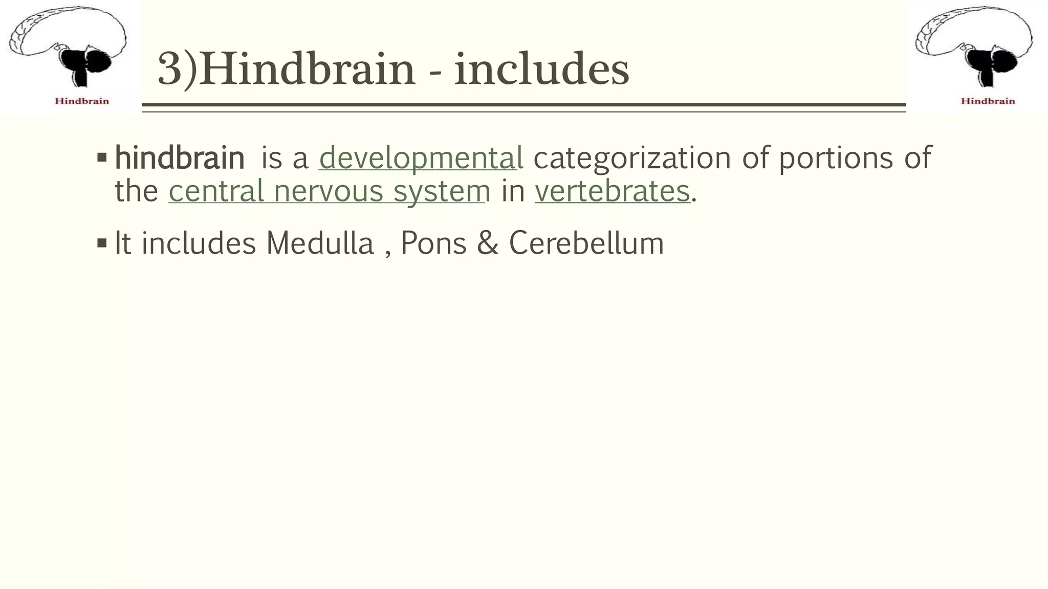 3)Hindbrain - includes
 hindbrain is a developmental categorization of portions of
the central nervous system in vertebrates.
 It includes Medulla , Pons & Cerebellum
 