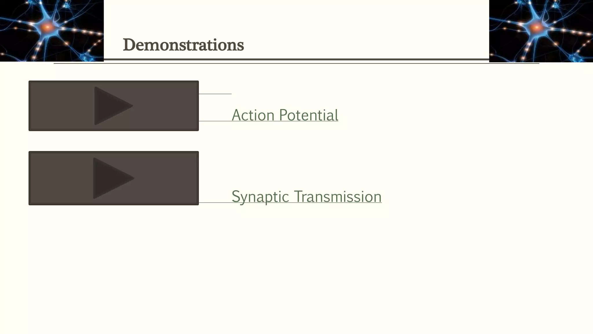 Demonstrations
Action Potential
Synaptic Transmission
 