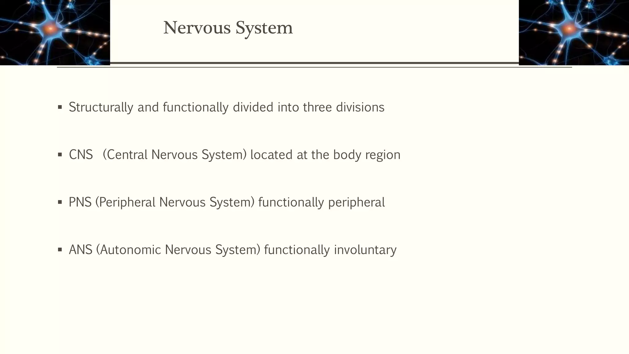 Nervous System
 Structurally and functionally divided into three divisions
 CNS (Central Nervous System) located at the body region
 PNS (Peripheral Nervous System) functionally peripheral
 ANS (Autonomic Nervous System) functionally involuntary
 