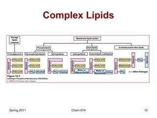 Chapter 2: diversity of lipids | PPT