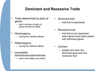 Dominant and Recessive Traits
• Traits determined by pairs of
genes
– each member of pairs of
genes termed an allele
• Homozygous
– having two identical alleles
• Heterozygous
– having two different alleles
• Incomplete
dominance/codominances
– when both alleles are shown
• Dominant trait
– trait that is expressed
• Recessive trait
– trait that is not expressed
when genes have been paired
with dominant genes
• Carriers
– people who bear one
dominant gene and one
recessive trait
 