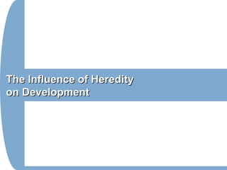 The Influence of HeredityThe Influence of Heredity
on Developmenton Development
 