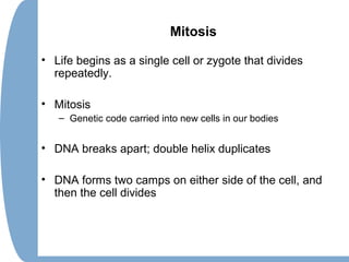 Mitosis
• Life begins as a single cell or zygote that divides
repeatedly.
• Mitosis
– Genetic code carried into new cells in our bodies
• DNA breaks apart; double helix duplicates
• DNA forms two camps on either side of the cell, and
then the cell divides
 