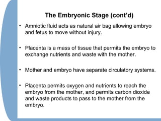 The Embryonic Stage (cont’d)
• Amniotic fluid acts as natural air bag allowing embryo
and fetus to move without injury.
• Placenta is a mass of tissue that permits the embryo to
exchange nutrients and waste with the mother.
• Mother and embryo have separate circulatory systems.
• Placenta permits oxygen and nutrients to reach the
embryo from the mother, and permits carbon dioxide
and waste products to pass to the mother from the
embryo.
 