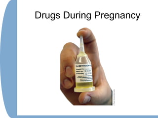 Drugs During Pregnancy
 