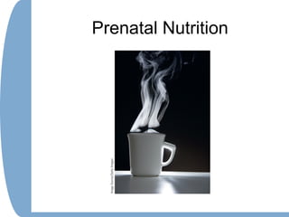 Prenatal Nutrition
 